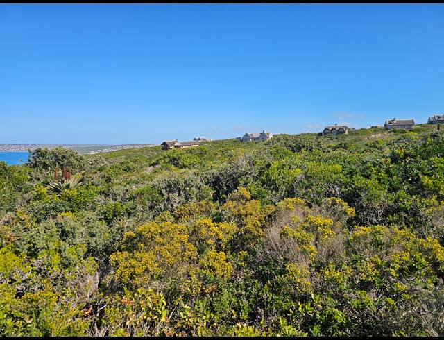 2,779M² VACANT LAND FOR SALE IN SPRINGERBAAI ECO ESTATE